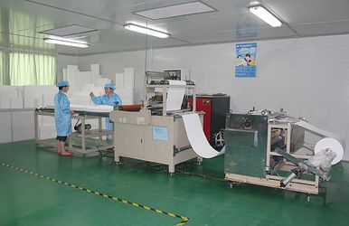 Dongguan Ivy Purification Technology Co., Ltd. Company Profile